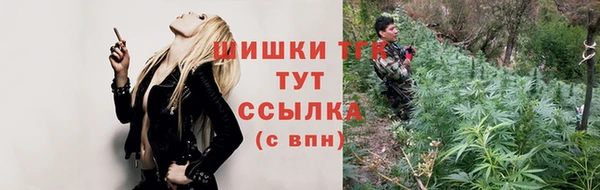 2c-b Рославль