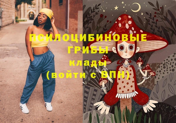 ПСИЛОЦИБИНОВЫЕ ГРИБЫ Абинск