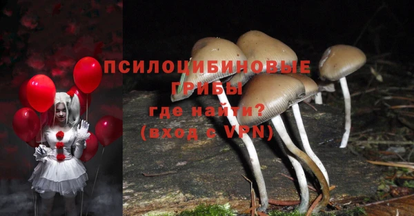 mix Абаза